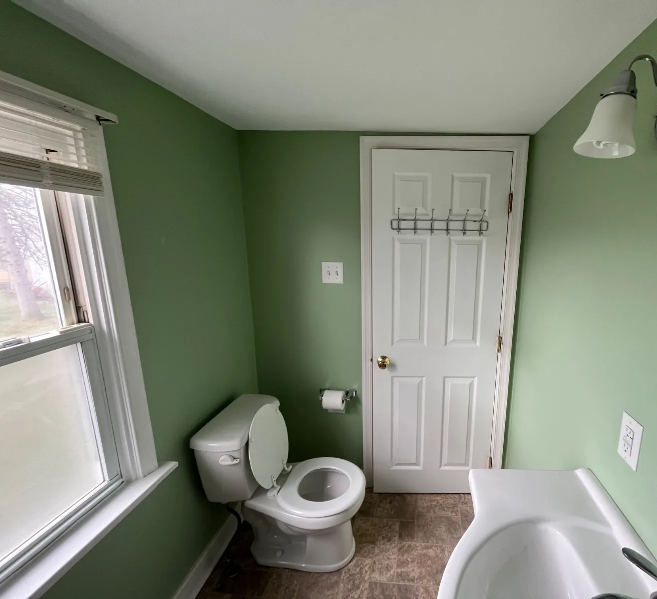 Small bathroom with green walls, a white ceiling, a white six-panel door and white window trim